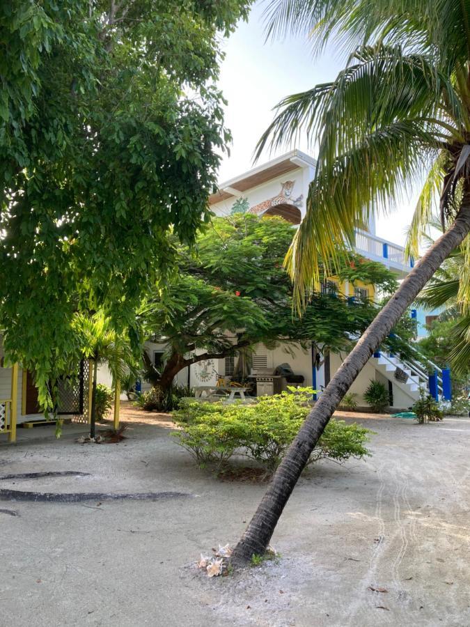 Jaguar Morning Star Hotell Caye Caulker Exteriör bild